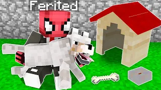 FERİTED VS MİNECRAFT #371