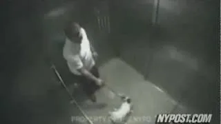 Vicious Dog Beating - New York Post