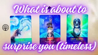 WHAT is about to SURPRISE you? ✨ 🌞❤️ ✨ | Pick a card #tarot #pickacard