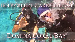 🤿ЕГИПЕТ Domina Coral Bay  Дайвинг первый раз, погружение с аквалангом Шарм эль Шейх