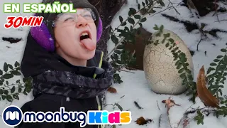 ¡Huevos de dinosaurio CONGELADOS en la nieve! | @TRexRanchEspanol