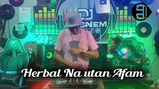 Viral Tiktok | Herbal na Utan Afam Version | Budots Remix | Dj Ericnem