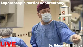 Laparoscopic partial nephrectomy LIVE / Лапароскопическая резекция почки
