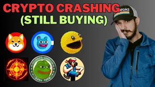 Top 7 Meme Coins to 100x During the Crypto Crash!