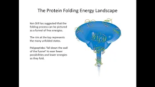 Chapter 6b: protein folding and quaternary structure