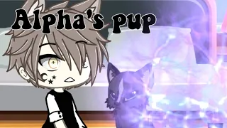 Alpha's pup [Full Episode~Gacha Life] ( Read desc )