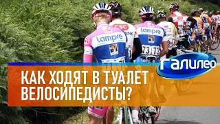 Галилео 🚴 Как ходят в туалет велосипедисты?