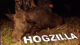 4 HOGS IN 5 MINUTES!