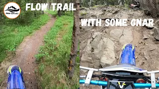 Flow Trail With A Side Of Gnar