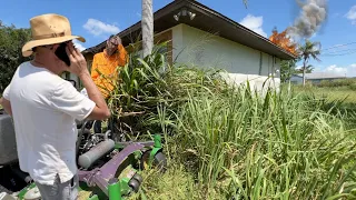 I HAD TO CALL THE COPS while mowing this RANDOM STRANGERS neglected yard for FREE!