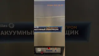 Углубленный вакуумный упаковщик DZ-400/2HB