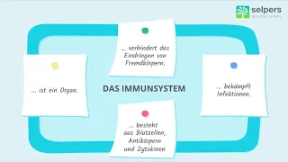 Immunsystem einfach erklärt (Experte erklärt)