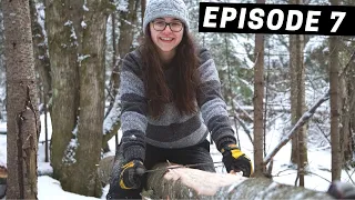 Building A Log Cabin | Ep. 7 | Felling trees by hand in a Canadian winter wonderland