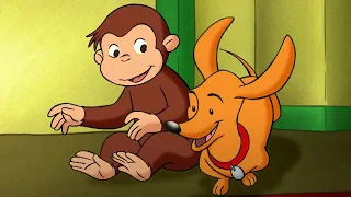 Georges le Petit Singe 🐵George et Hundley le chien 🐵 Dessins Animés