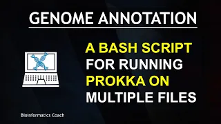 Genome Annotation with Prokka- How to write a bash script to handle multiple samples | Patreon Video