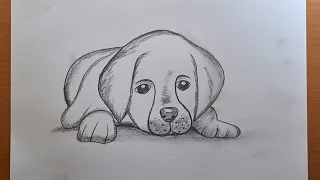 Como desenhar um cachorro fácil  | desenhos  de animais com lápis,  desenhar um cachorro