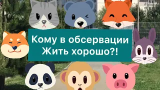 Как не попасть в обсервацию в Сочи?/ Кому в обсервации жить хорошо?/ Честно о обсервации в Сочи/