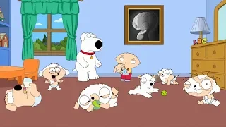 Stewie & Brian have Puppies