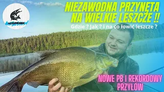 HOL WIELKIEGO LESZCZA I LINA/LESZCZE NA SPŁAWIK /NAJLEPSZA PRZYNĘTA NA LESZCZA  #leszcz #spławik #pb