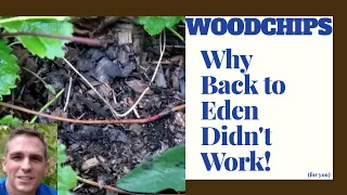 Back to Eden Woodchips didn't work?