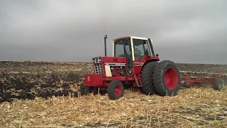 1977 IH 1086 PLOWING