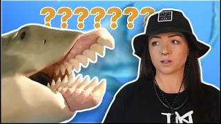Prehistoric "sharks" were f***ed up
