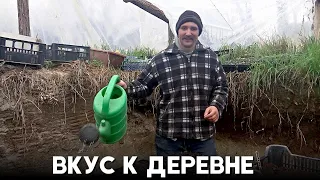 Как венгры возвращаются к сельской жизни