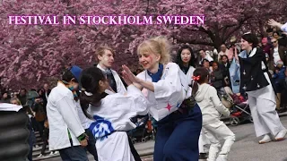 Cherry Blossom Festival in Stockholm Sweden