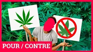 Légalisation du cannabis : le pour et le contre