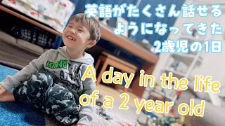 英語がたくさん話せるようになってきた2歳児の１日：A Day In The Life Of A Two Year Old