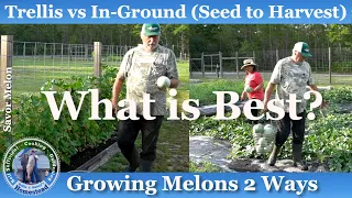 We Grew Melons 2 Ways, What Method is Best?