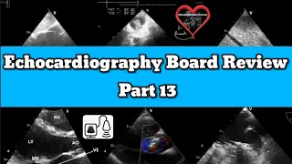 Adult Echocardiography Registry Review