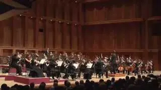 Brahms Symphony No. 4  -  4th Movement