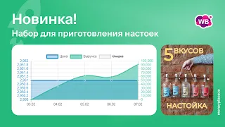 Продажи набора для приготовления настоек на Wildberries. Анализ маркетплейса