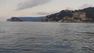 In kayak con i delfini a Vado Ligure