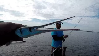 WRECK FISHING - Exploring NEW Spots! - Inshore Fishing - Trinidad, Caribbean