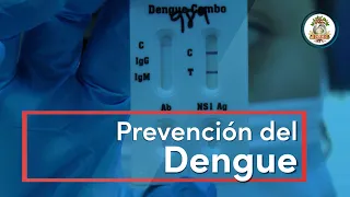 Prevención y control del mosquito transmisor del dengue