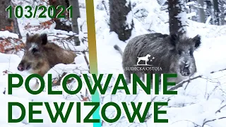 SUDECKA OSTOJA 103/2021 Driven Hunting in Poland