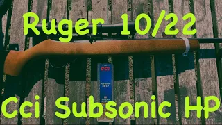 Ruger 10/22, CCI Subsonic Hollow Points