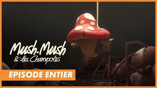 MUSH-MUSH ET LES CHAMPOTES -  Episode entier "Un heros presque parfait" - CANAL+kids