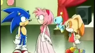 Sonic and Amy- Love Story