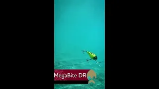 MegaBite DR