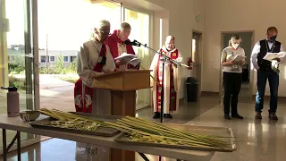 Palm Sunday 4/10/22 Procession