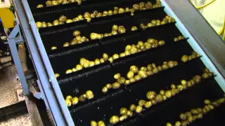 Optische sorteermachine aardappels Agro Giethoorn - www.akkerwijzer.nl