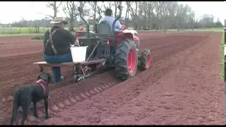 Planting Sweet Corn - Home Vegetable Garden