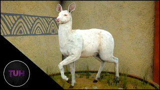 Albino Musk Deer With The Recurve!!! | theHunter: Call of the Wild