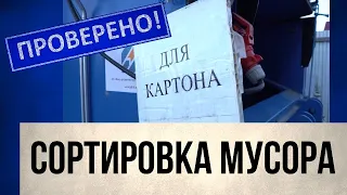 Почему мы не хотим сортировать мусор | Проверено!