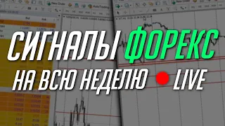 ГОТОВЫЕ ТОРГОВЫЕ СИГНАЛЫ ФОРЕКС НА ВСЮ НЕДЕЛЮ. АНАЛИЗ РЫНКА | Трейдер Максим Михайлов