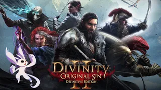 Divinity: Original Sin II - Lone Wolf play-through with H-K-D - Part 1: Character Creation