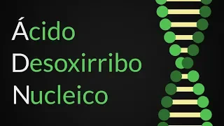 ¿Qué es el ADN? ¿Cuál es su estructura y composición? | Hidden Nature